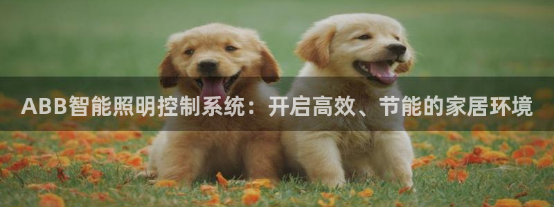 ABB智能照明控制系统：开启高效、节能的家居环境