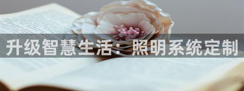 升级智慧生活：照明系统定制