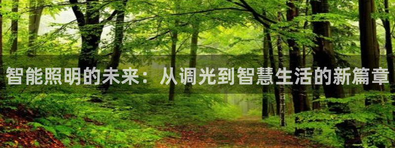 智能照明的未来：从调光到智慧生活的新篇章