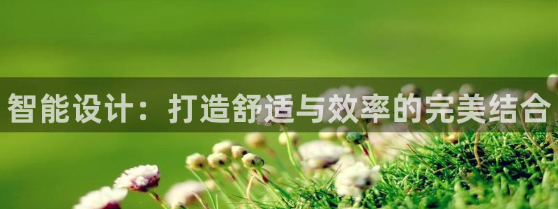 智能设计：打造舒适与效率的完美结合