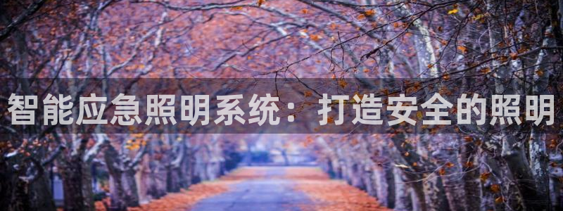 智能应急照明系统：打造安全的照明