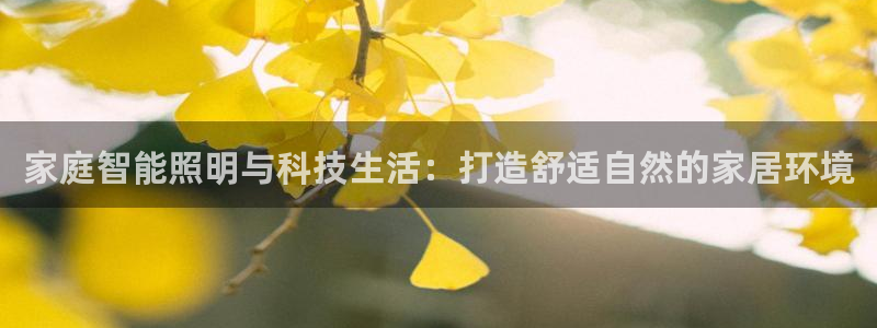 家庭智能照明与科技生活：打造舒适自然的家