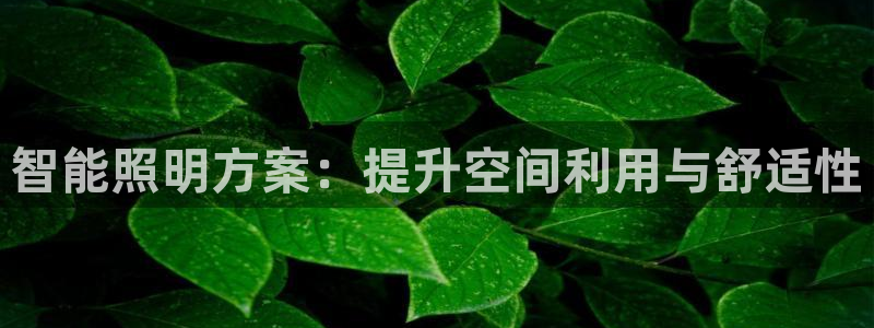 智能照明方案：提升空间利用与舒适性