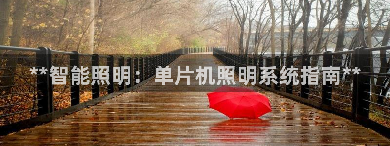 **智能照明：单片机照明系统指南**