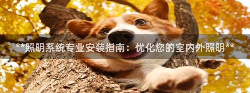 **照明系统专业安装指南：优化您的室内外照明**