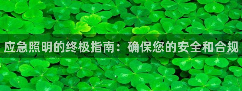 应急照明的终极指南：确保您的安全和合规