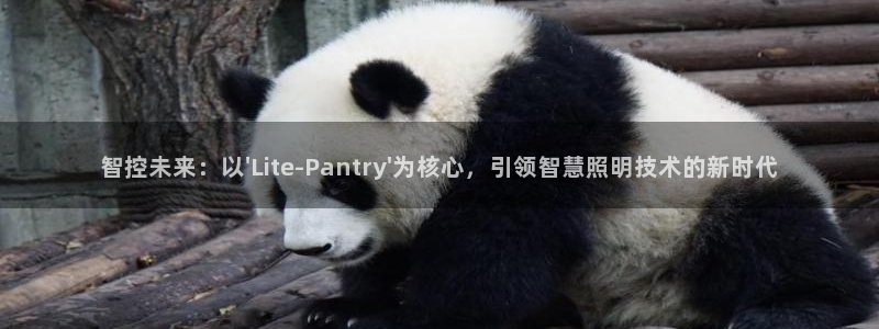 智控未来：以\'Lite-Pantry\'为核心，引领智慧照明技术的新时代