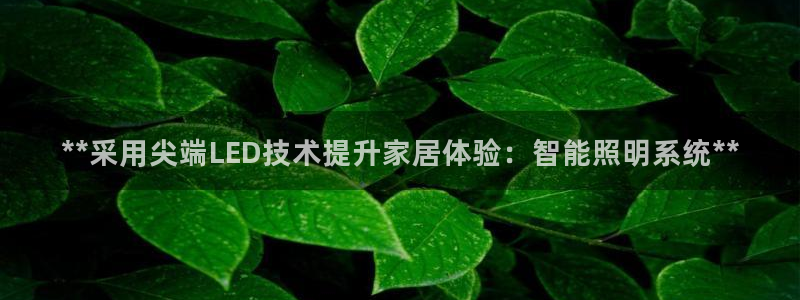 **采用尖端LED技术提升家居体验：智能照明系统**