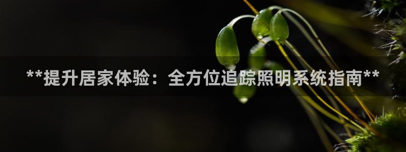 **提升居家体验：全方位追踪照明系统指南