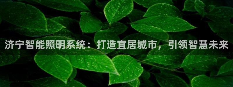 济宁智能照明系统：打造宜居城市，引领智慧