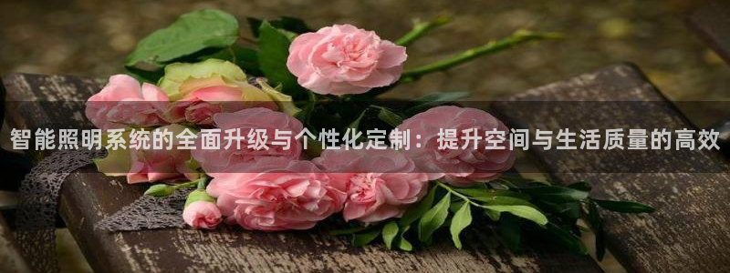 智能照明系统的全面升级与个性化定制：提升